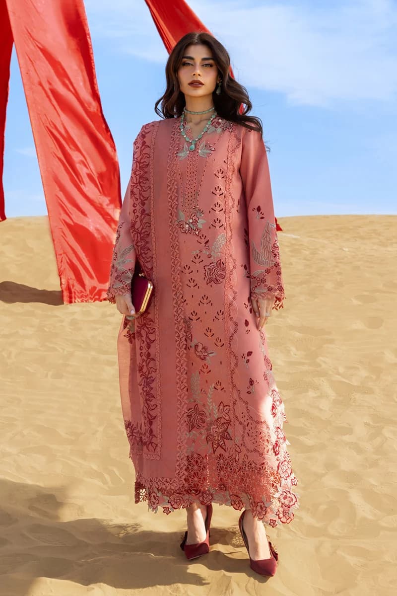 Rang Rasiya Premium Collection 2026 Amani 3 PC